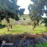 Villa en terrain de un hectare et 680m²