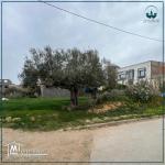 أراضي للبيع على وجهتين بقليبية تيهرت