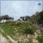 أراضي للبيع على وجهتين بقليبية تيهرت