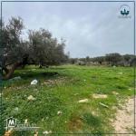 أرض للبيع في قليبية