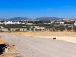 Terrain de 200 m2 à vendre   HAMMAMET