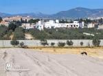 Terrain de 200 m2 à vendre   HAMMAMET