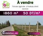 un Terrain  Agricole 1860 m2 sur la route goudronnée foukaia