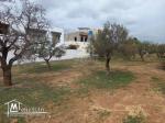 Terrain de 200 m² à Hammamet Nord à vendre 51355351