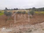 Terrain de 2200 m² à vendre à Hammamet Sud 51355351