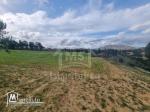 Terrain de 1 hectare à Hammamet sud à vendre 51355351