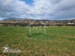 Terrain de 1 hectare à Hammamet sud à vendre 51355351