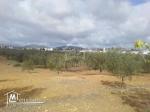 Terrain de 1000 m² à Hammamet Sud à vendre 51355351