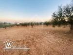 Terrain de 4018 m² à vendre à Hammamet Sud 51355351