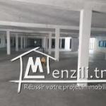 local a louer a mahdia 1200m