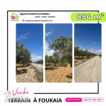 Terrain à vendre foukaia Chott Meriem