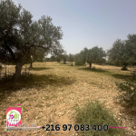 terrain à  vendre الفقاعية ChottMeriem 1100 m²