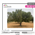 terrain à vendre1241 m2 #foukaia#ChottMeriem
