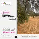terrainàvendre 2500m2 foukaia#ChottMeriem