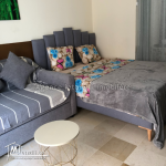 A louer  S0 meublé haut standing