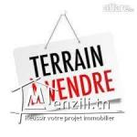 Terrain  a vendre