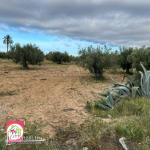 Terrain agricole #Situé à Sidi Bou Ali Sousse 2400m²
