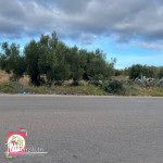 Terrain agricole #Situé à Sidi Bou Ali Sousse 2400m²