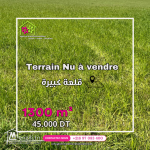 Terrain agricole nu (ارض جرداء) de 1300 m2 a kala kbira