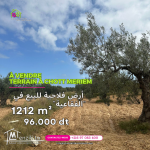 Terrain à vendre   foukaia  ChottMeriem DE 1212 M²