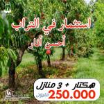 ferme hectares avec des maisons a vendrev à hamam ghzez kélibia