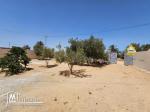 A vendre grande villa avec titre bleu Individuel à Mahboubine Djerba