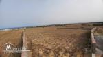 A vendre des lots de terrains à El haouaria nabeul