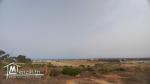 A vendre des lots de terrains à El haouaria nabeul