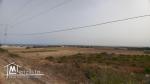 A vendre des lots de terrains à El haouaria nabeul