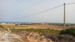 A vendre des lots de terrains à El haouaria nabeul