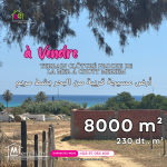 Terrain de 8000 m² clôturé a vendre à chott meriem