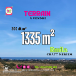 Terrain de 1335 m² à "Rmila" Chatt meriem