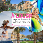 Un très beau studio S+1 richement meublé Vue Piscine