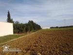 A vendre terrain agricole de 17000m2 a kelibia