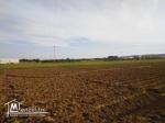 A vendre terrain agricole de 17000m2 a kelibia