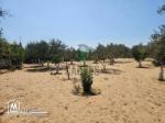 À vendre Terrain agricole de 10600 m² à Daroufa  Nabeul.