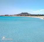 appartement de type s+2 au RDC  a kelibia