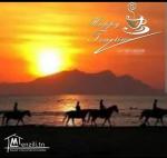 استثمار في الهوارية شهادة ملكية