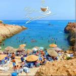 استثمار في الهوارية شهادة ملكية