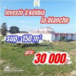 150 m² à vendre 94.045.019