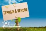 terrain a vendre à  dar allouche  kélibia 29711072