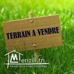 Un terrain à vendre située à Jawhra sousse