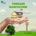 Terrain habitation en vente