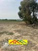 Terrain agricole de 1494,5m2 a el haouaria cap bon