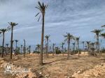 Terrain à vendre à Midoun Djerba