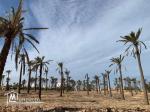 Terrain à vendre à Midoun Djerba