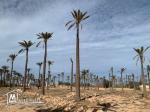 Terrain à vendre à Midoun Djerba