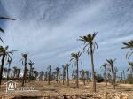 Terrain à vendre à Midoun Djerba