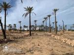 Terrain à vendre à Midoun Djerba
