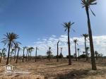 Terrain à vendre à Midoun Djerba